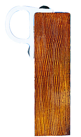 Dock Edge  Profil Petit ″P″ 8' x 2.6″ x 1 1/2″