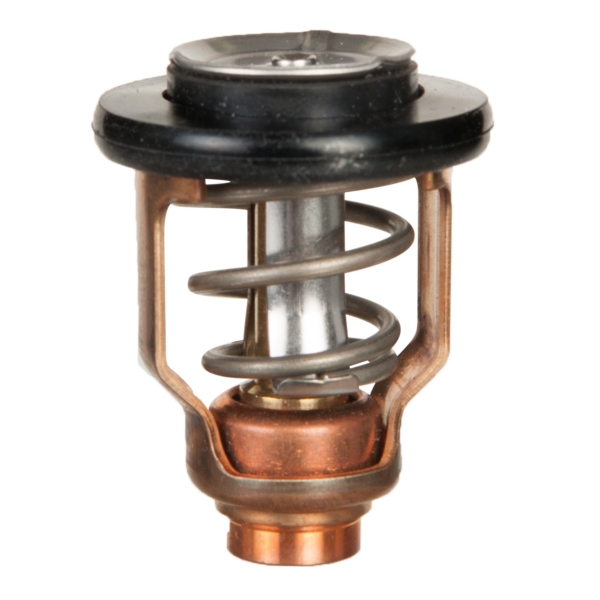 Sierra Thermostat Yamaha - 67F-12411-01-00