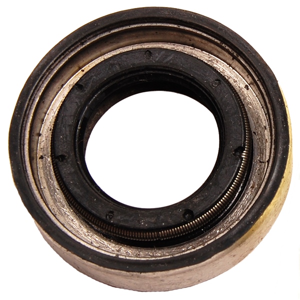 BRP Evinrude Retenue d'huile Johnson/Evinrude, OMC - 823134